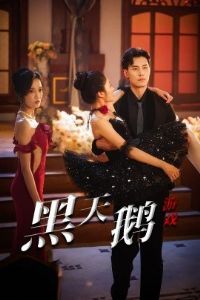 �������Ϸ