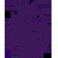 Ӣ������ ����VS����ķ20260212