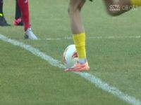 �м�  �ӱ�����vs���ݶ� 20231022